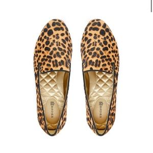 Birdies The Starling